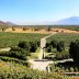 Enoturismo en Chile: Rutas del Vino