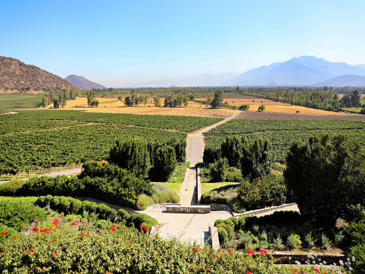 Una vista increíble desde una bodega en Chile con vistas a los viñedos, bosques y montañas.